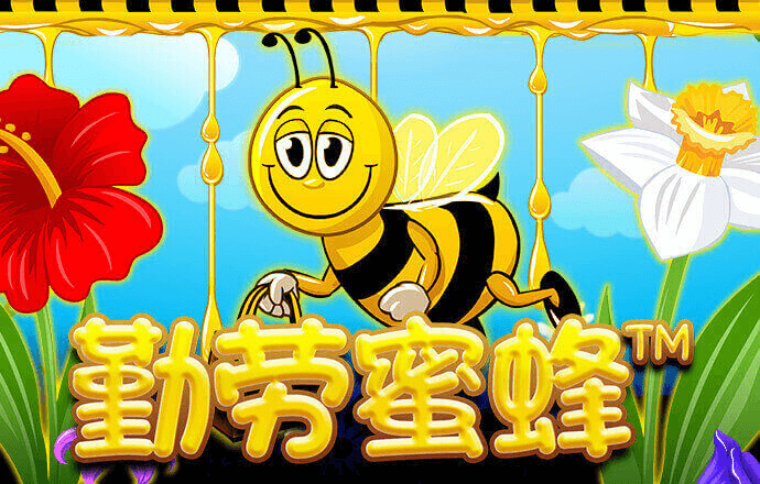 kok平台app下载